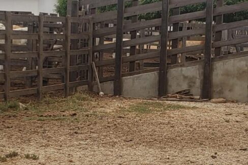 WhatsApp Image 2025-09-18 at 18.13.48