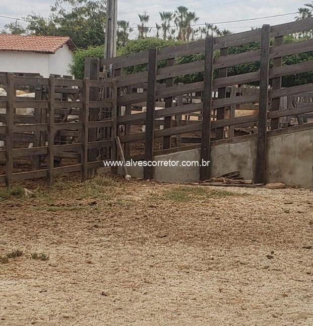 WhatsApp Image 2025-09-18 at 18.13.48