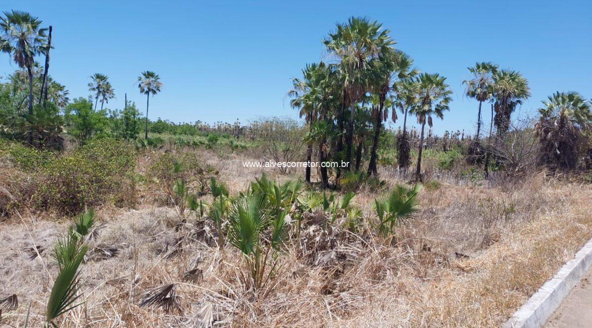 WhatsApp Image 2025-10-04 at 13.26.04 (1)