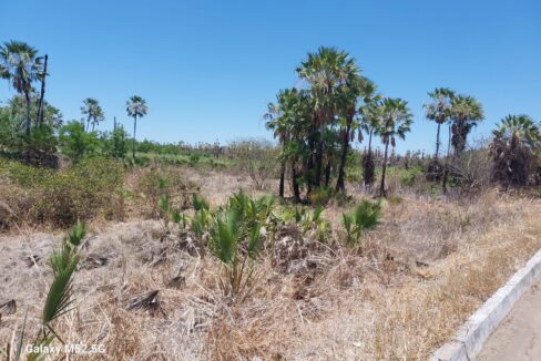 WhatsApp Image 2025-10-04 at 13.26.04 (1)