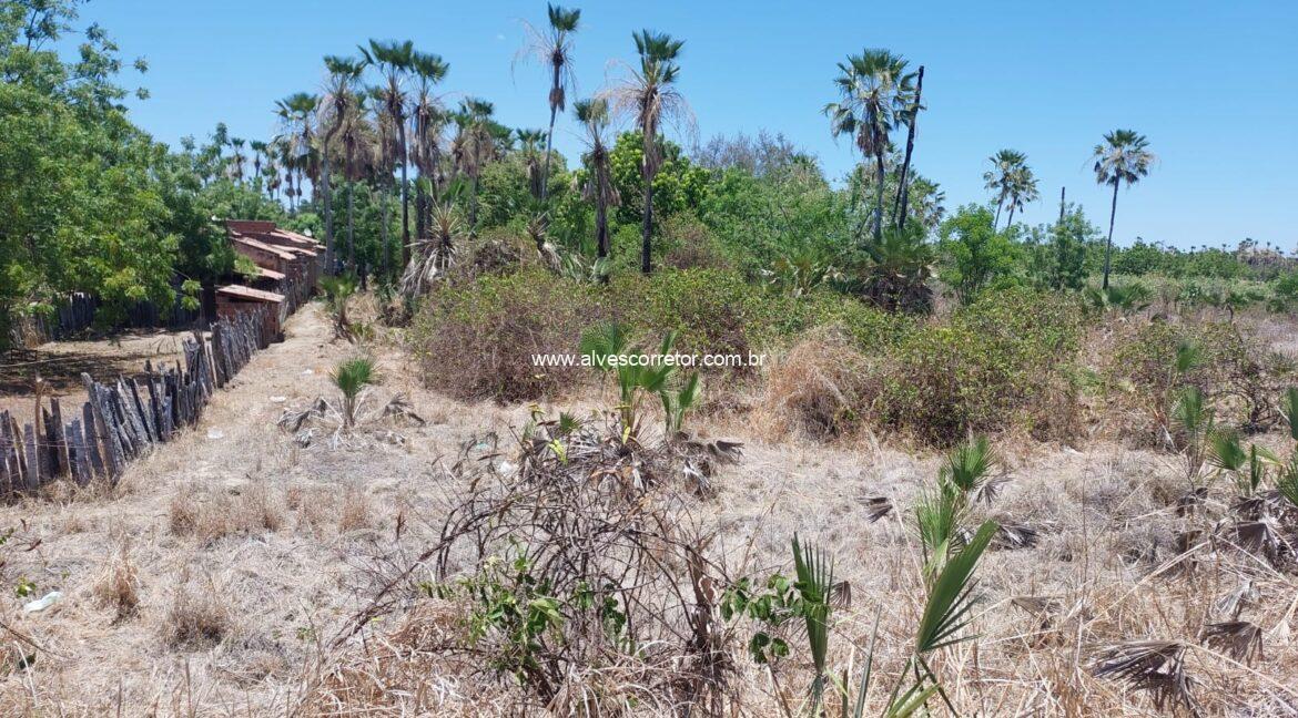 WhatsApp Image 2025-10-04 at 13.26.04