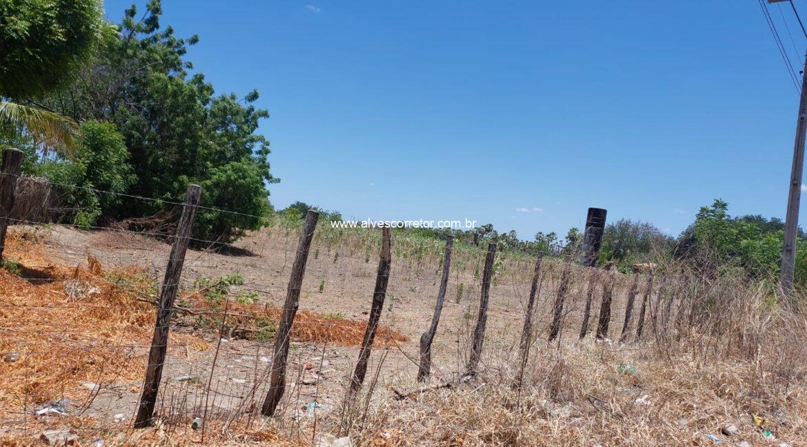 WhatsApp Image 2025-10-04 at 13.26.04 (2)