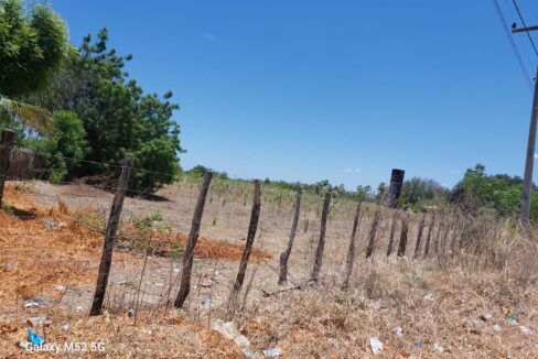 WhatsApp Image 2025-10-04 at 13.26.04 (2)