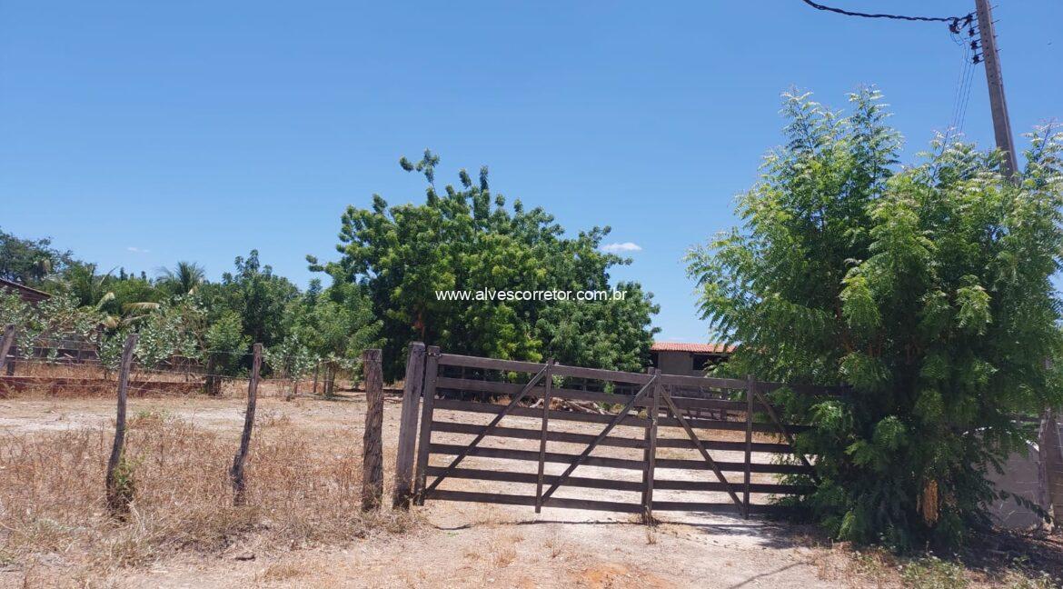 WhatsApp Image 2025-10-04 at 13.26.04 (3)