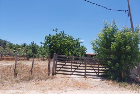 WhatsApp Image 2025-10-04 at 13.26.04 (3)