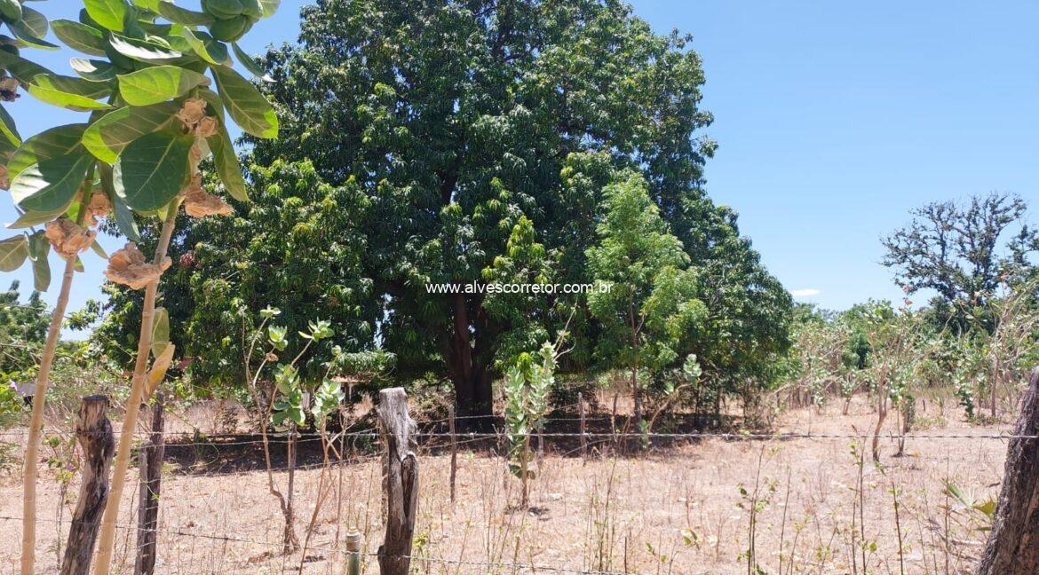 WhatsApp Image 2025-10-04 at 13.26.04 (4)