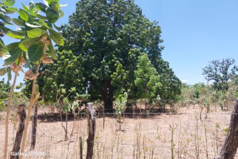 WhatsApp Image 2025-10-04 at 13.26.04 (4)