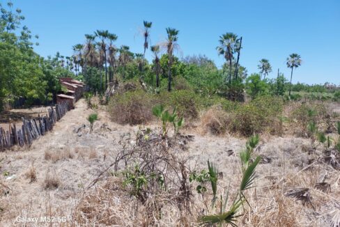 WhatsApp Image 2025-10-04 at 13.26.04