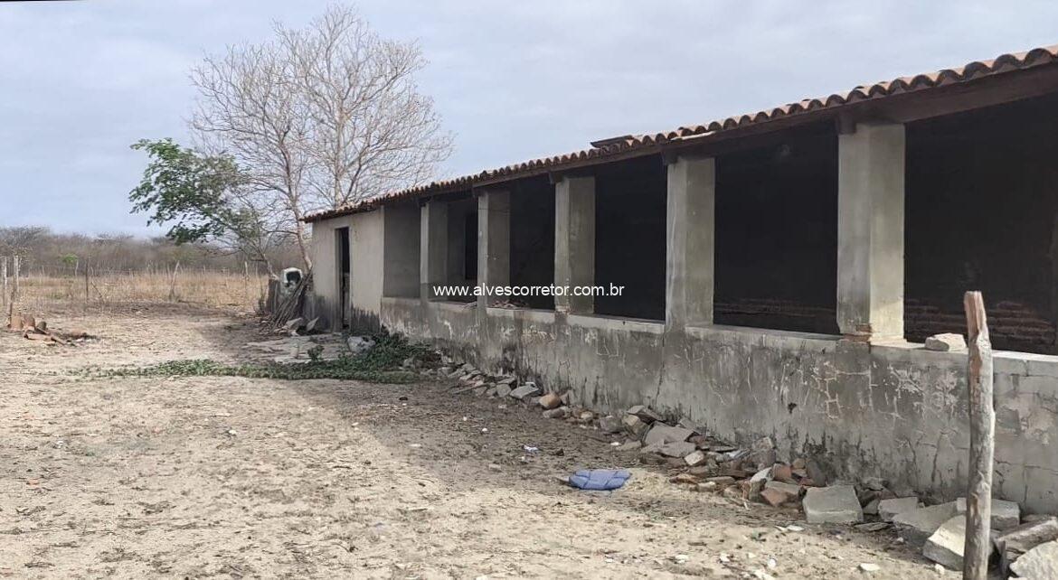 WhatsApp Image 2026-02-05 at 14.56.19 (1)