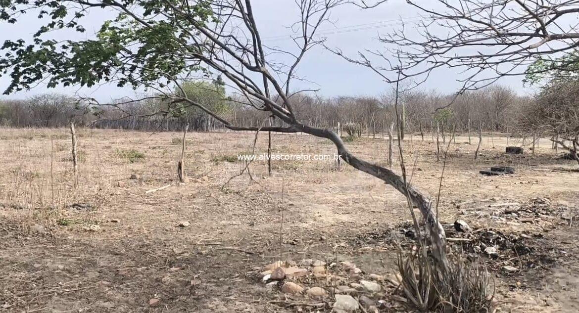 WhatsApp Image 2026-02-05 at 14.56.19