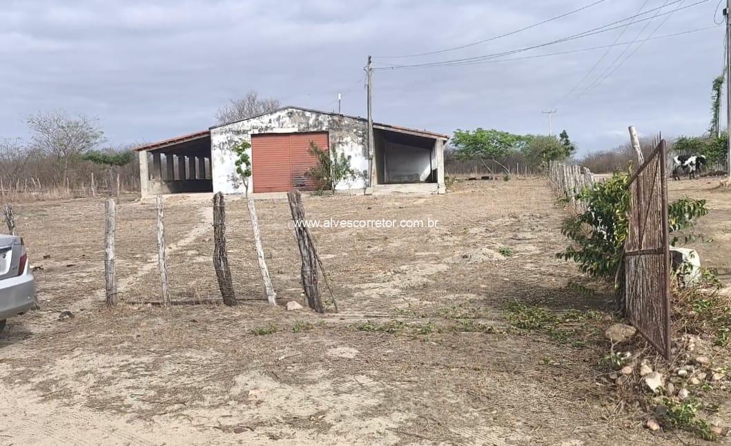 WhatsApp Image 2026-02-05 at 14.56.20 (1)