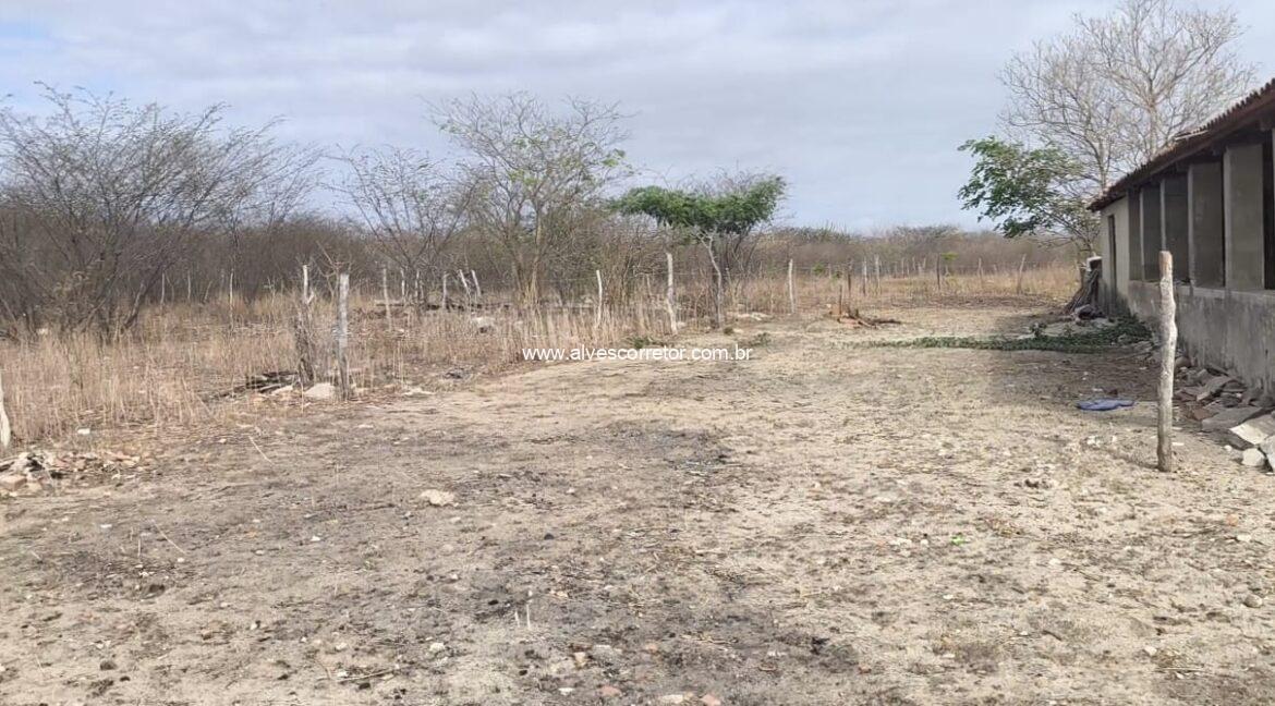 WhatsApp Image 2026-02-05 at 14.56.20