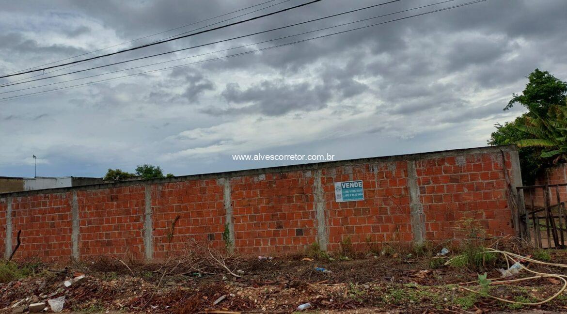 WhatsApp Image 2026-02-08 at 11.04.55