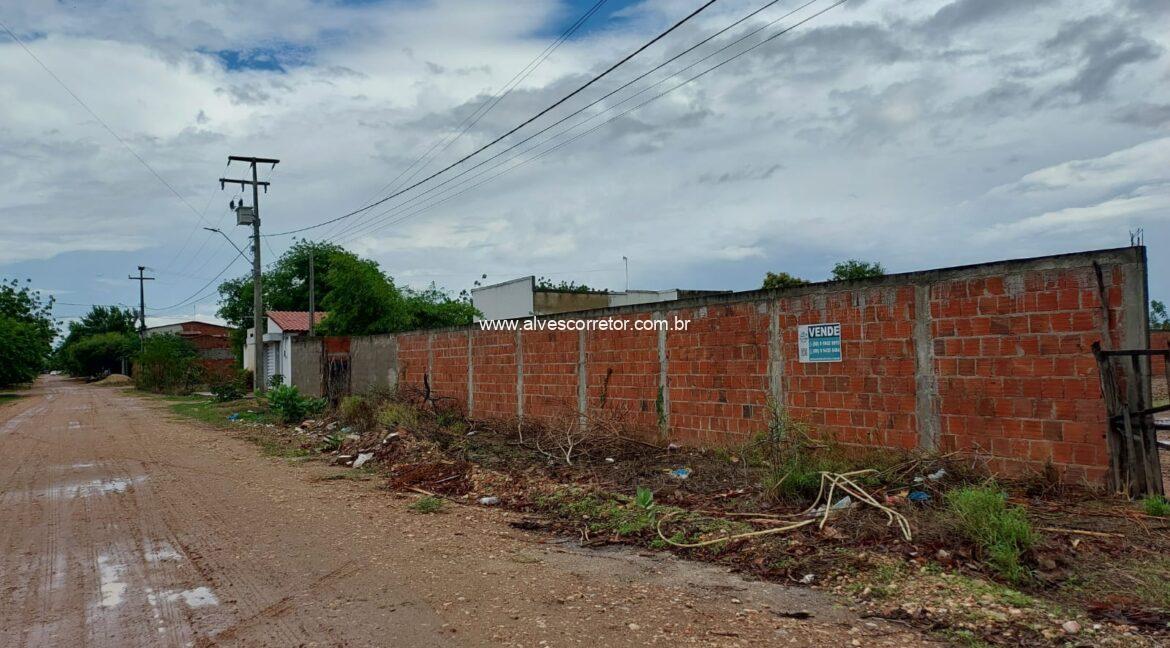 WhatsApp Image 2026-02-08 at 11.04.56