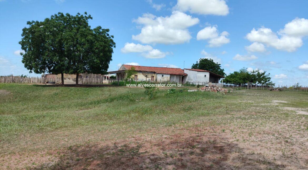 WhatsApp Image 2026-03-08 at 15.23.20