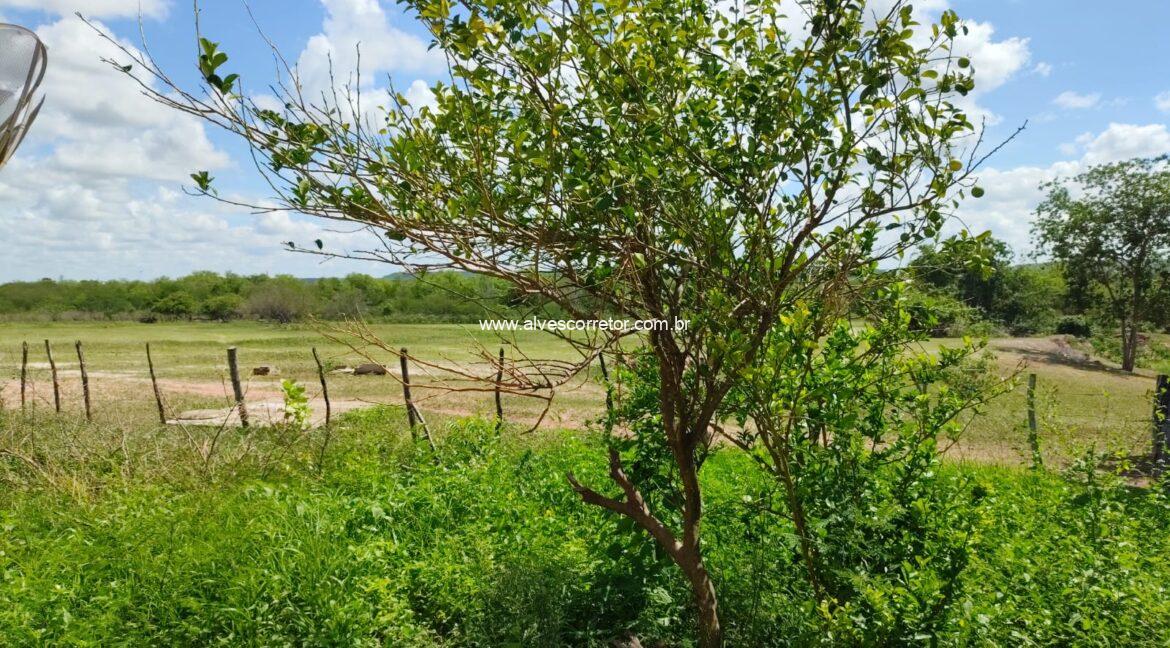 WhatsApp Image 2026-03-08 at 15.23.21 (1)