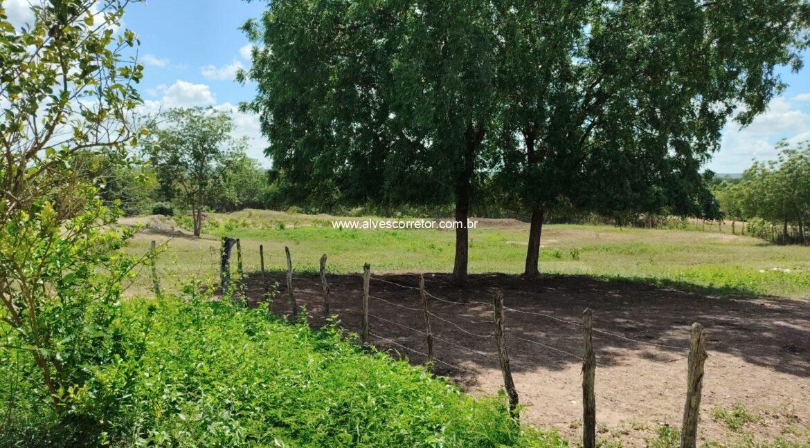 WhatsApp Image 2026-03-08 at 15.23.21