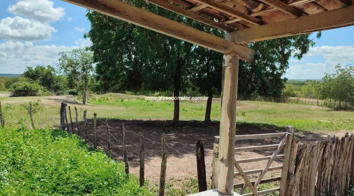 WhatsApp Image 2026-03-08 at 15.23.21 (2)