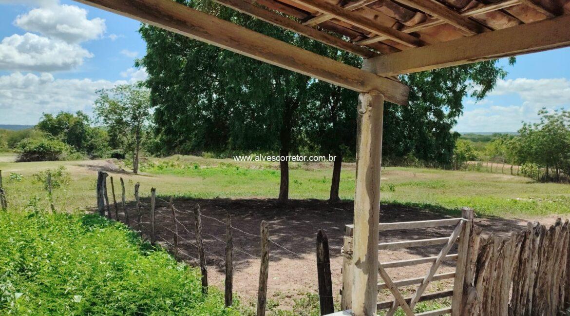 WhatsApp Image 2026-03-08 at 15.23.21 (3)