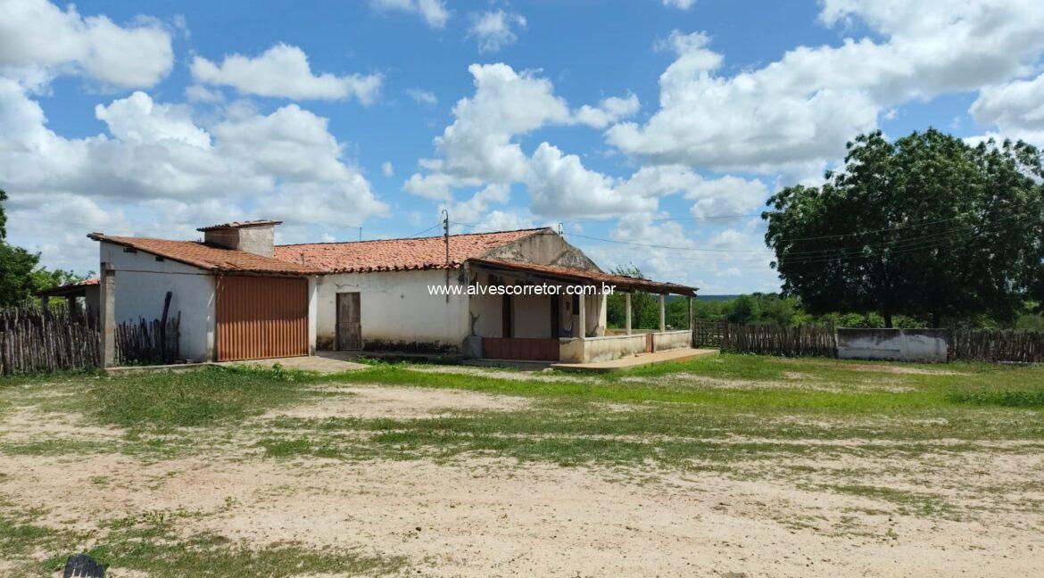 WhatsApp Image 2026-03-08 at 15.23.21 (4)