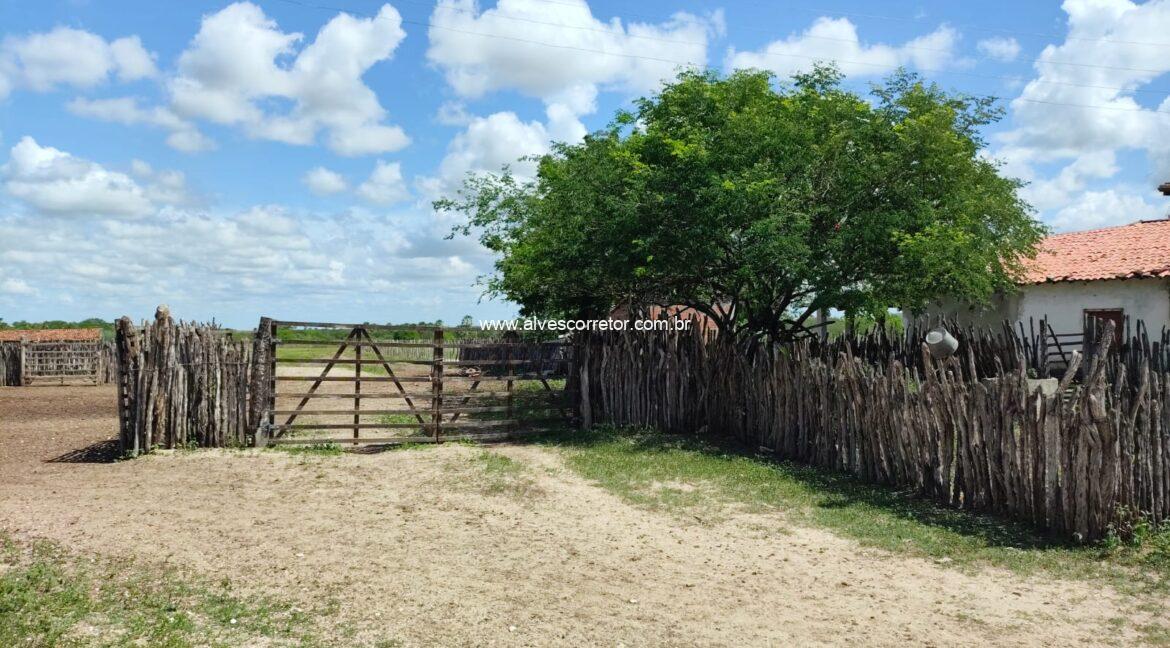 WhatsApp Image 2026-03-08 at 15.23.21 (5)