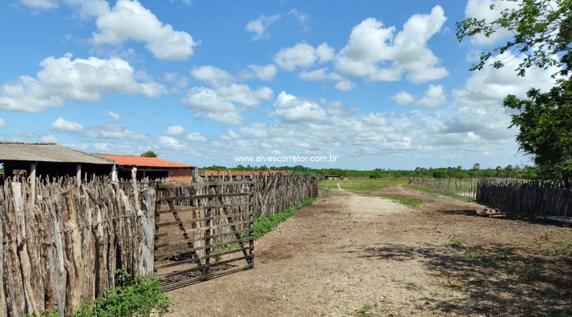 WhatsApp Image 2026-03-08 at 15.23.21 (6)