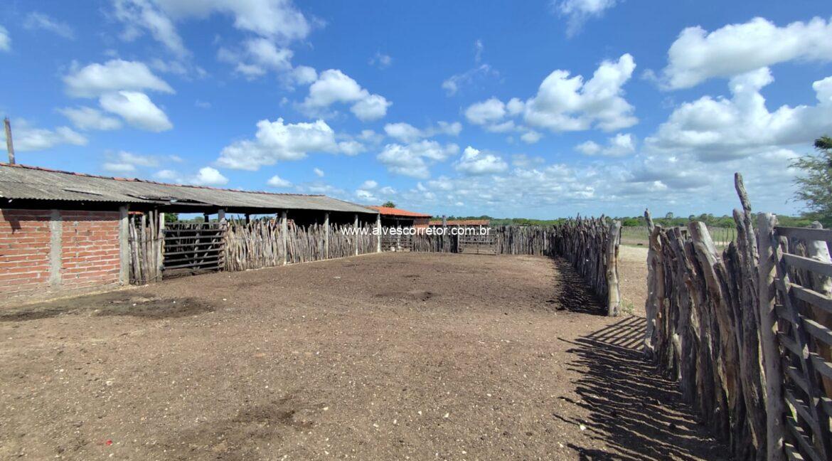 WhatsApp Image 2026-03-08 at 15.23.21 (7)