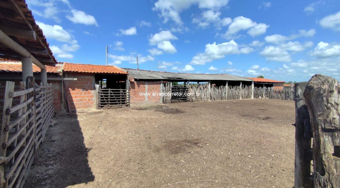 WhatsApp Image 2026-03-08 at 15.23.21 (8)