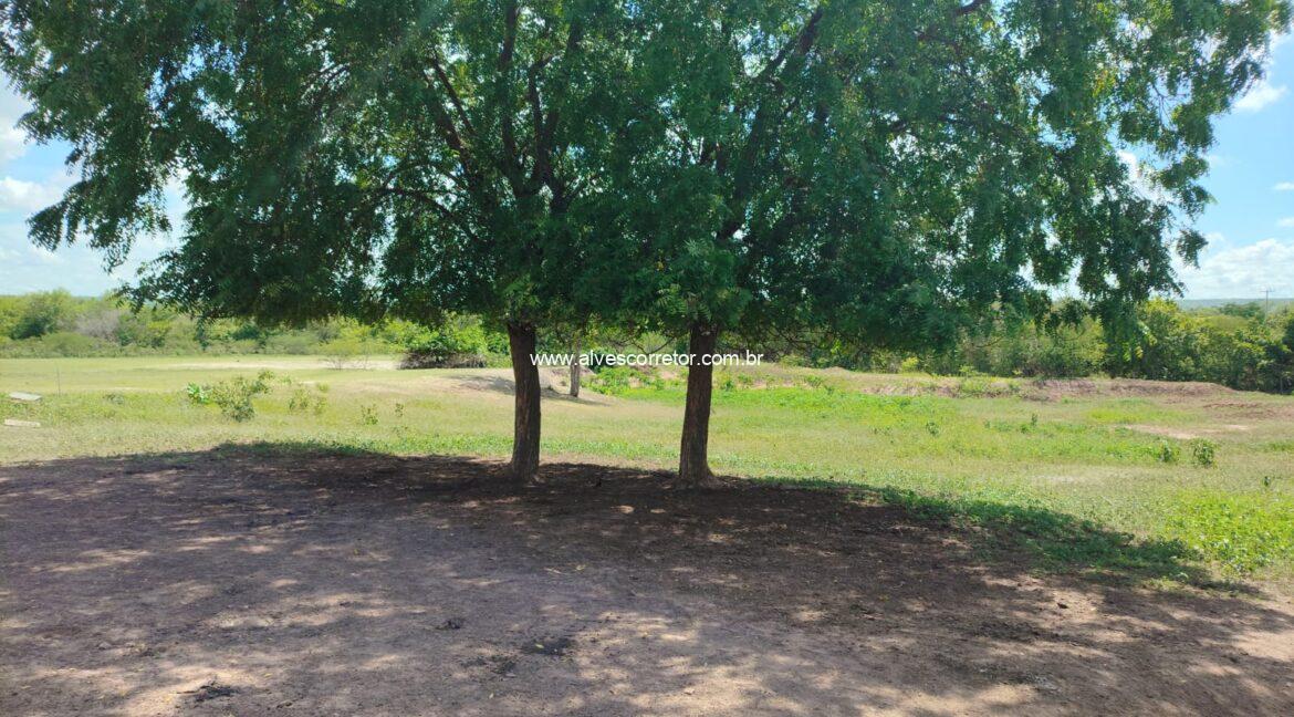 WhatsApp Image 2026-03-08 at 15.23.22 (1)