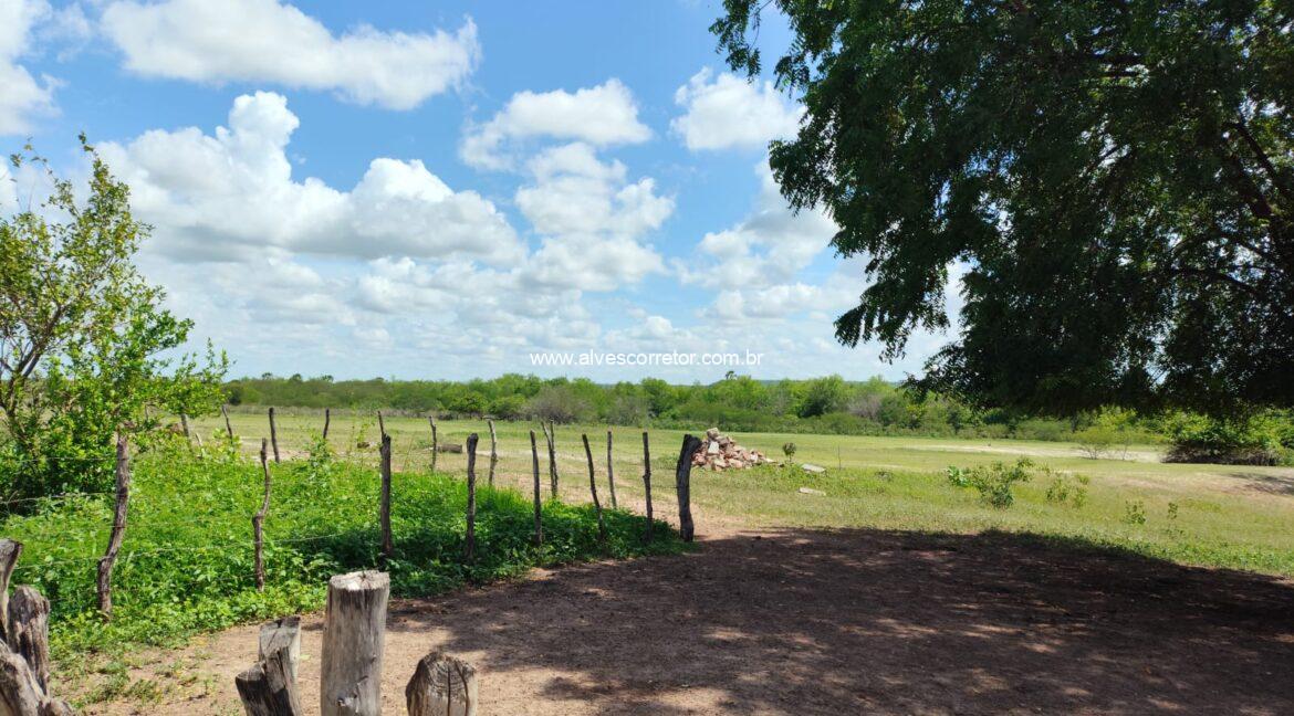 WhatsApp Image 2026-03-08 at 15.23.22