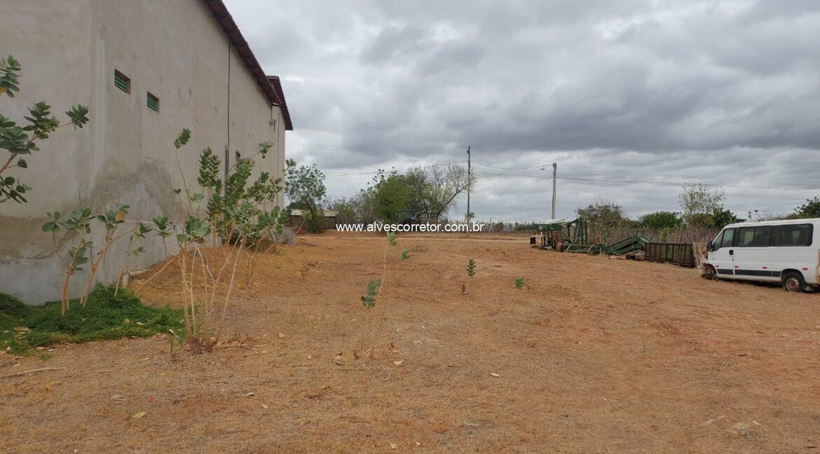 WhatsApp Image 2026-03-13 at 20.56.16 (1)