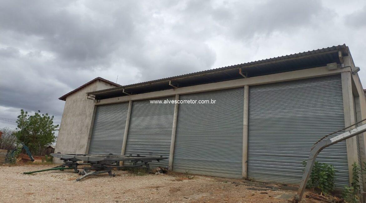 WhatsApp Image 2026-03-13 at 20.56.16