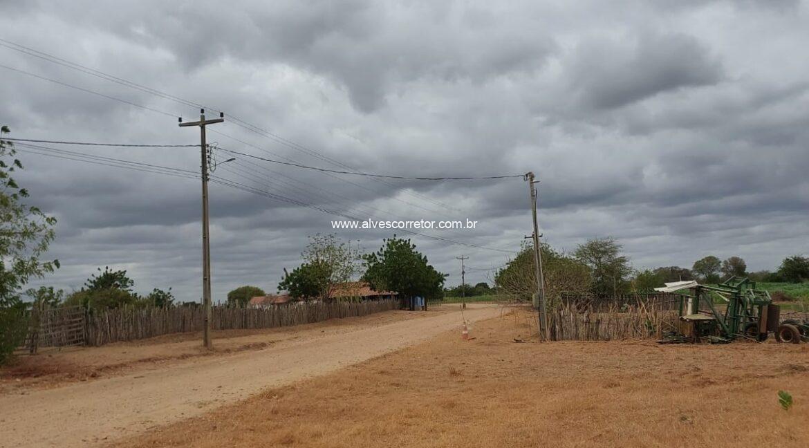 WhatsApp Image 2026-03-13 at 20.56.17 (1)