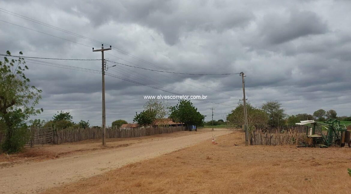 WhatsApp Image 2026-03-13 at 20.56.17