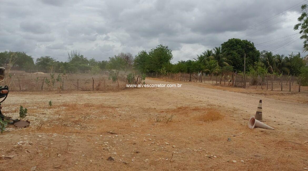 WhatsApp Image 2026-03-13 at 20.56.17 (2)