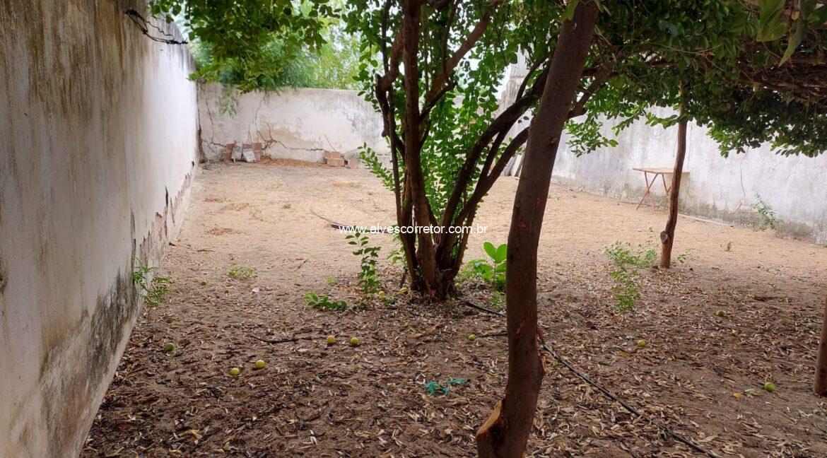 WhatsApp Image 2026-03-13 at 20.59.56