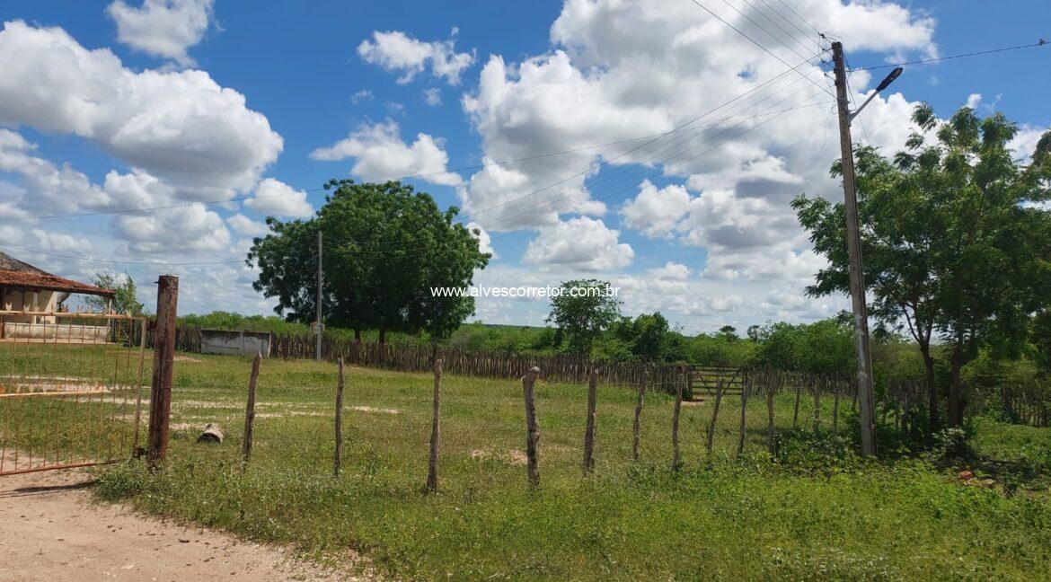 WhatsApp Image 2026-03-13 at 21.33.24 (4)