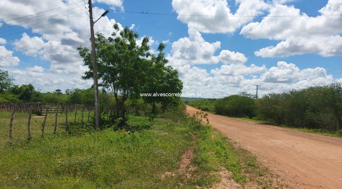 WhatsApp Image 2026-03-13 at 21.33.24 (5)