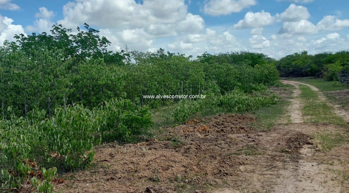 WhatsApp Image 2026-03-13 at 21.33.25 (1)