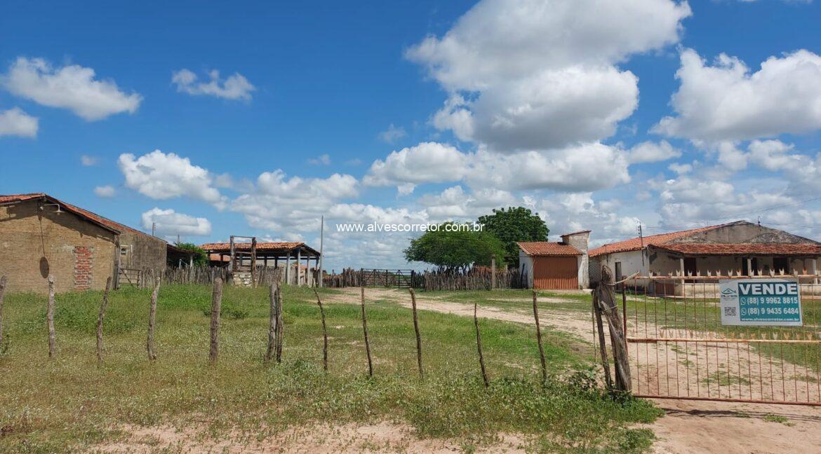 WhatsApp Image 2026-03-13 at 21.33.25