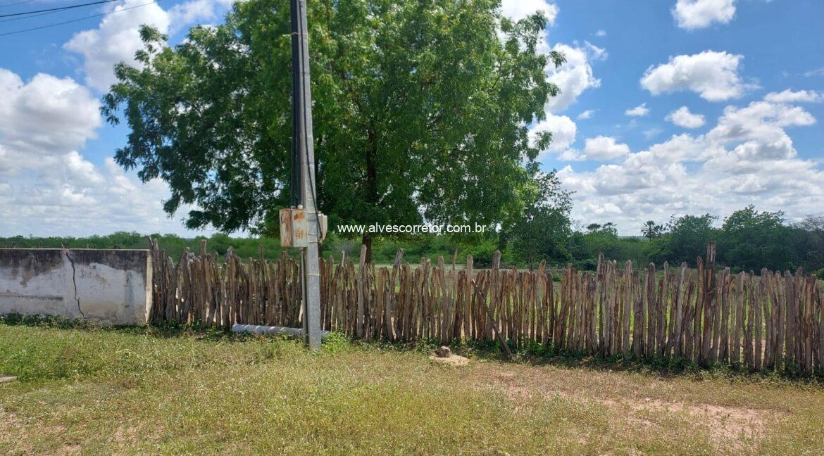 WhatsApp Image 2026-03-13 at 21.33.25 (2)