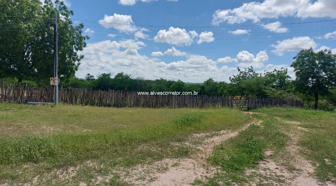 WhatsApp Image 2026-03-13 at 21.33.25 (3)