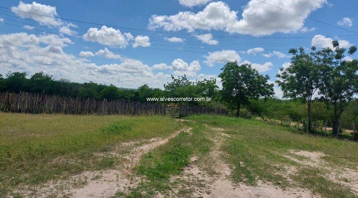 WhatsApp Image 2026-03-13 at 21.33.25 (4)