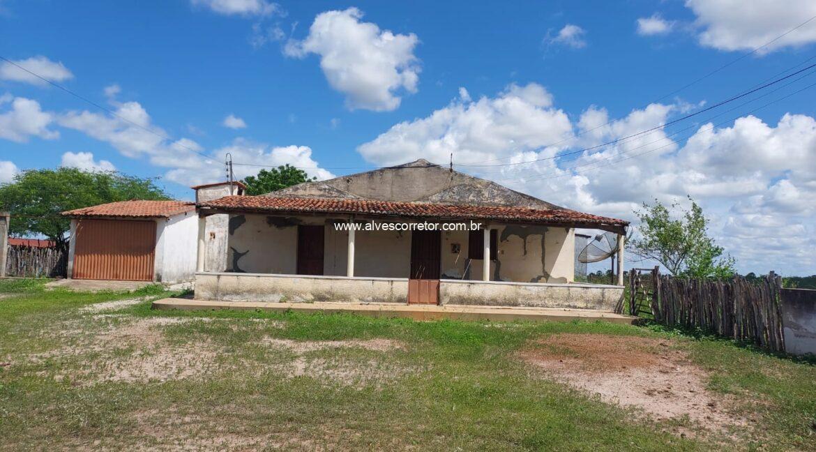 WhatsApp Image 2026-03-13 at 21.33.25 (5)