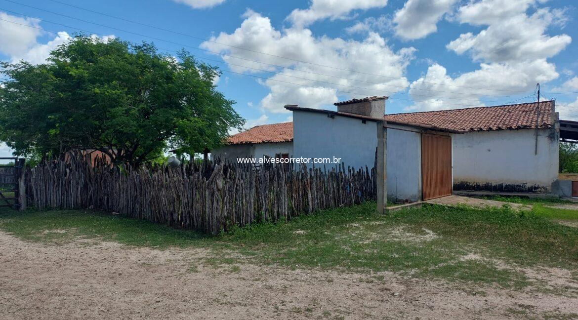 WhatsApp Image 2026-03-13 at 21.33.26 (1)