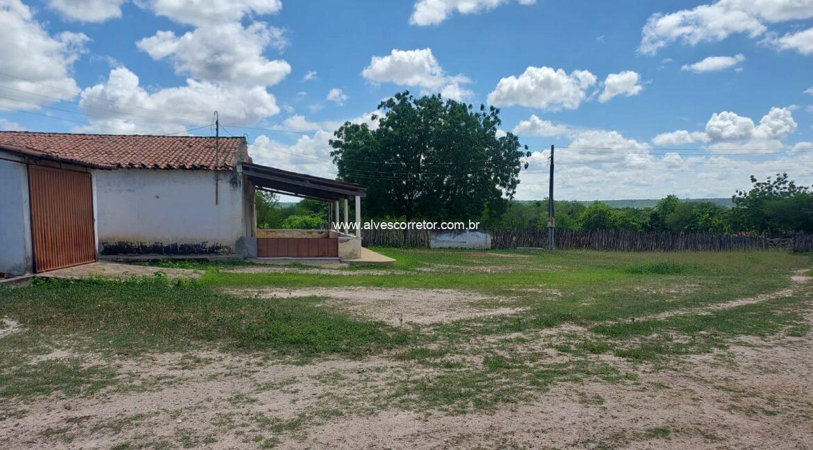 WhatsApp Image 2026-03-13 at 21.33.26