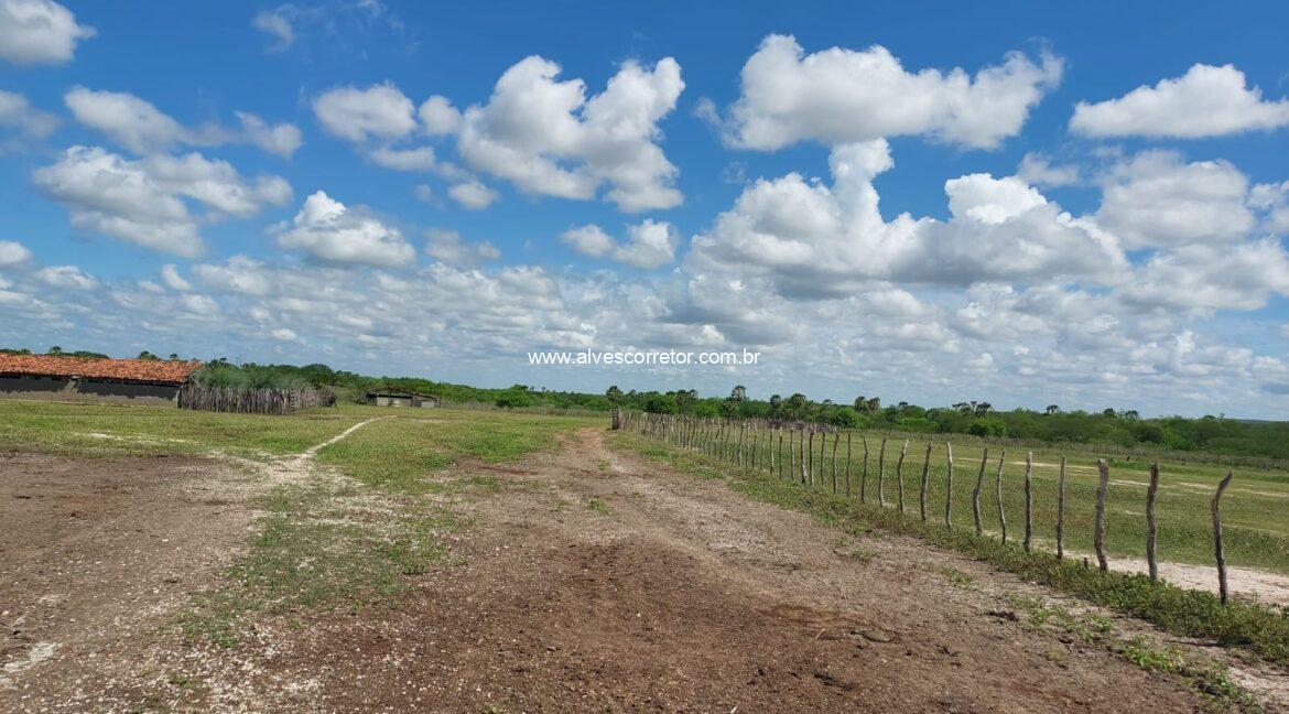 WhatsApp Image 2026-03-13 at 21.33.26 (2)