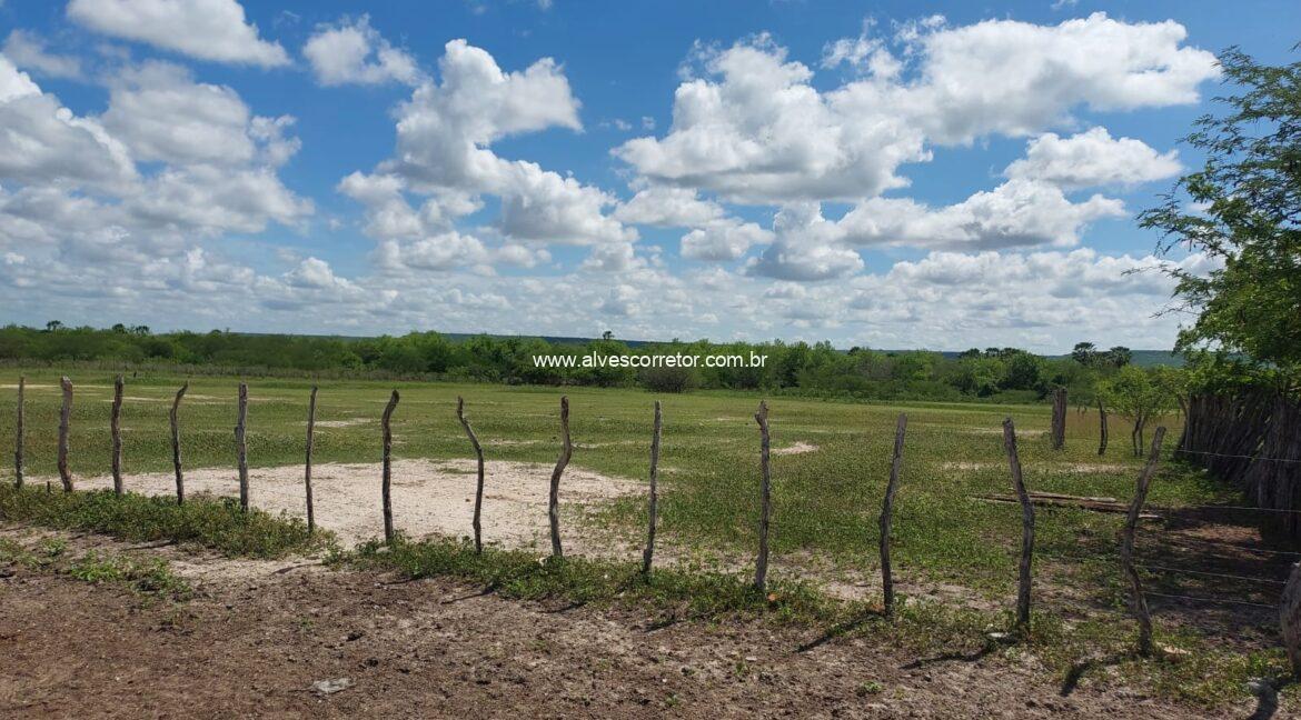 WhatsApp Image 2026-03-13 at 21.33.26 (3)