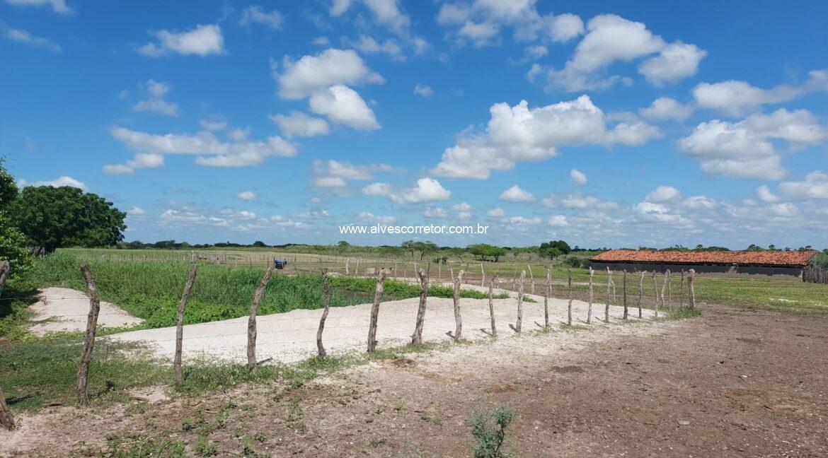 WhatsApp Image 2026-03-13 at 21.33.26 (4)