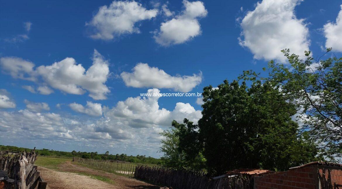 WhatsApp Image 2026-03-13 at 21.33.26 (5)